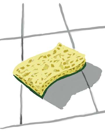 Sponge