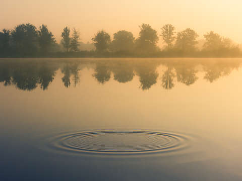 The water drop