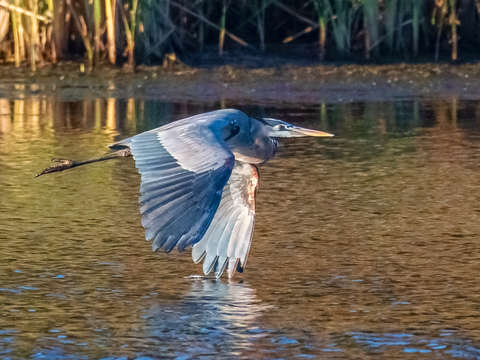 A dip of the wing
