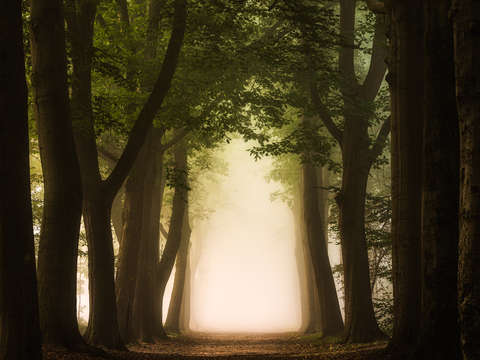 To the unknown