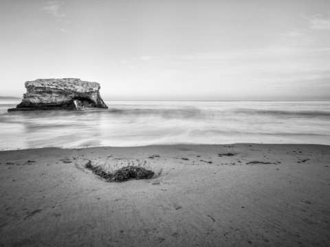 Silence in santa cruz