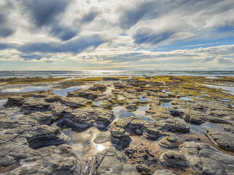 Strolling among the stones