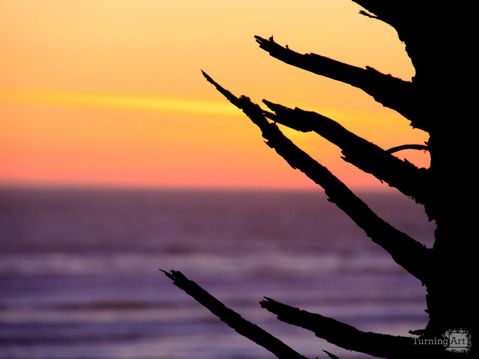 The coast