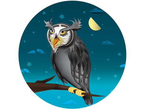 Owl perched