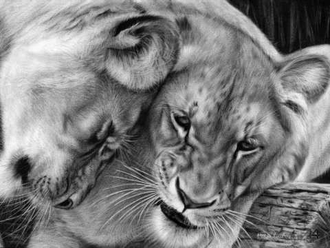 Gentleness