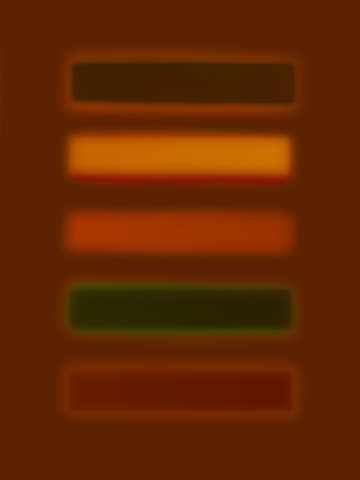 Color field 51