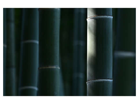 Eishoji bamboo 1