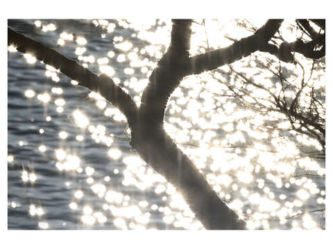 Lake ashinoko abstraction 24