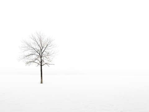 Silence 11