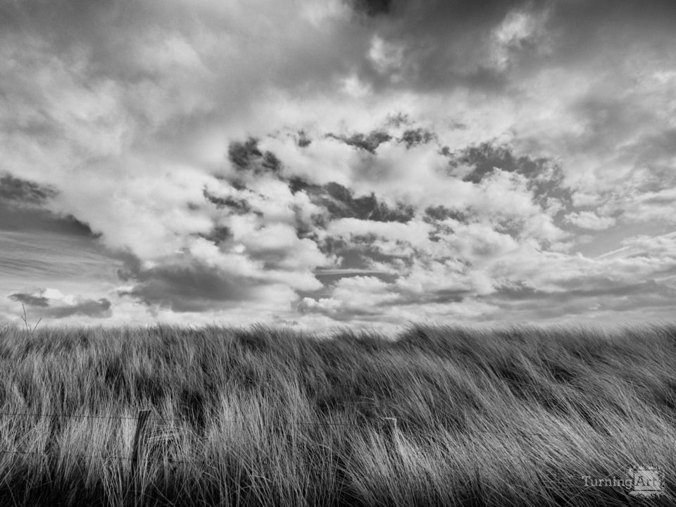A wind is rising