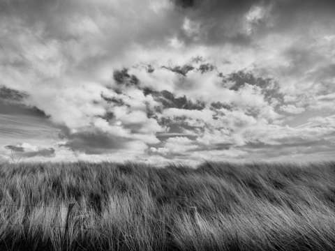 A wind is rising