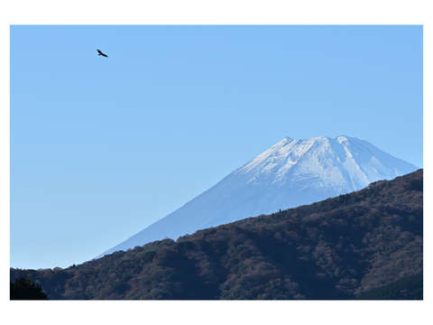 Conversations with mount fuji 5