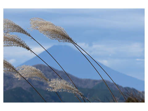 Conversations with mount fuji 8