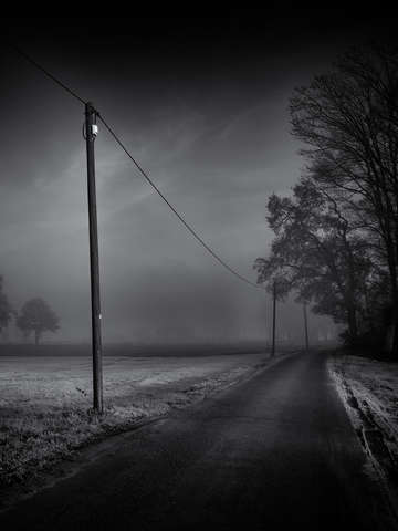 The way home