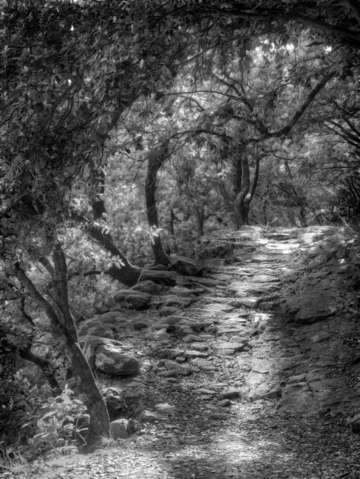 The path 8