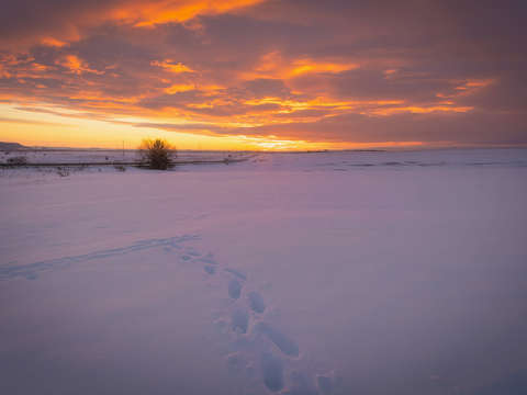 Snow and sunset