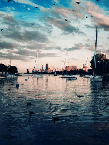 Harbor at sunset