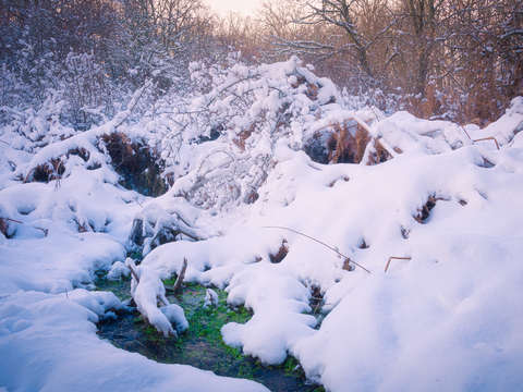 Snowy river