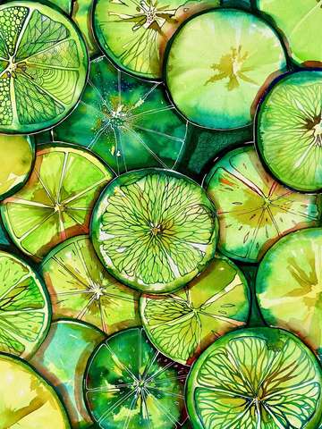 Limes 2