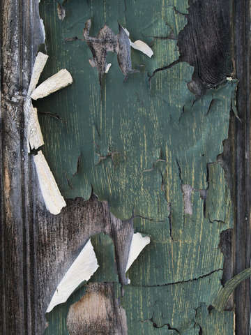 Green garage door