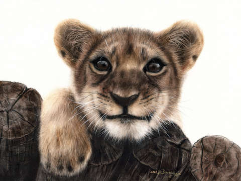 American art awards winner lion