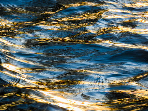 Gilded
