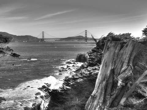 Coastal golden gate scaep