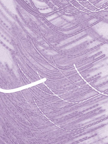 Circa purple 3760