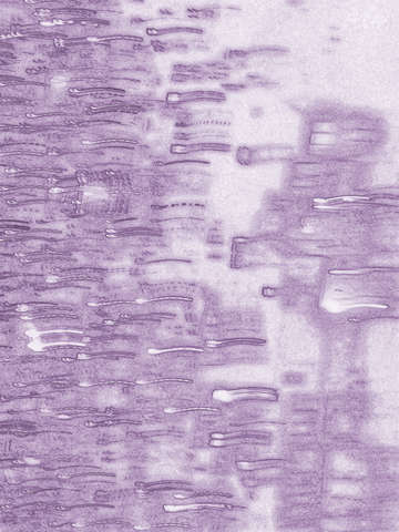 Circa purple 3816