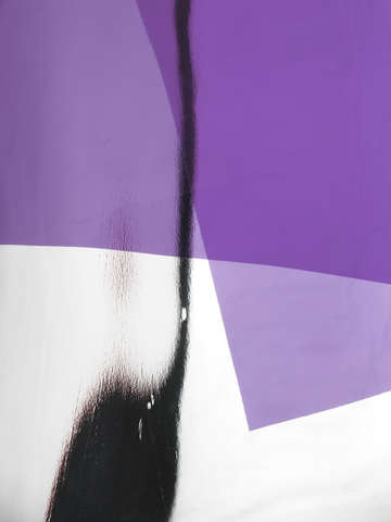 The color purple 0158