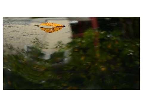Autumn abstraction 8