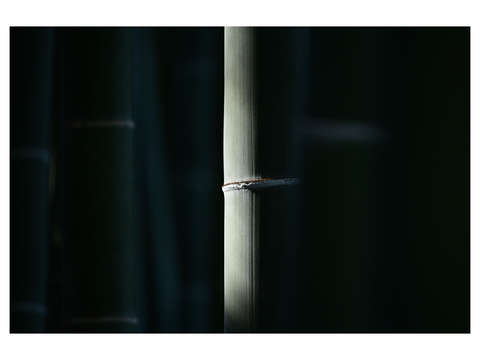 Eishoji bamboo 3