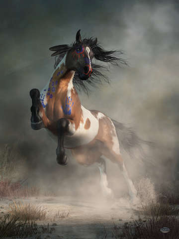 Pinto warrior horse in war paint