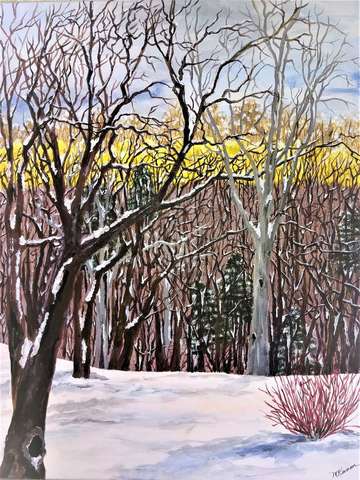 Ridge in winter 2
