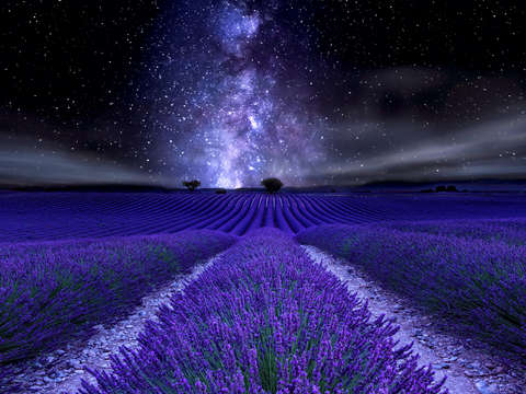 Under the stars 2