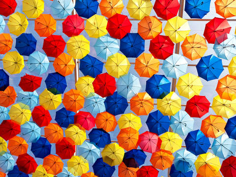 The umbrella sky