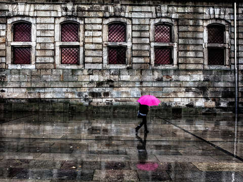 The pink umbrella