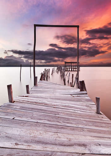 The gate