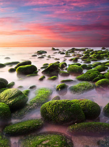 Color harmony