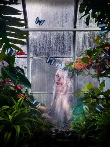 Fairy garden 2