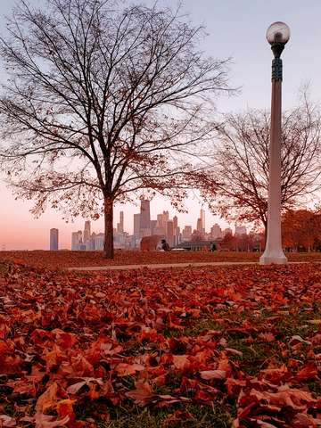 Autumn sunset 2