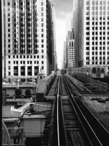 The l tracks