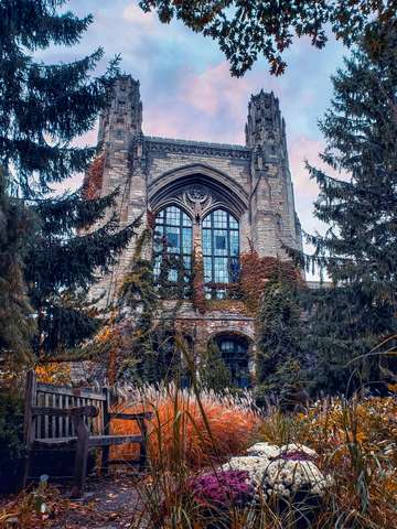 Northwestern university
