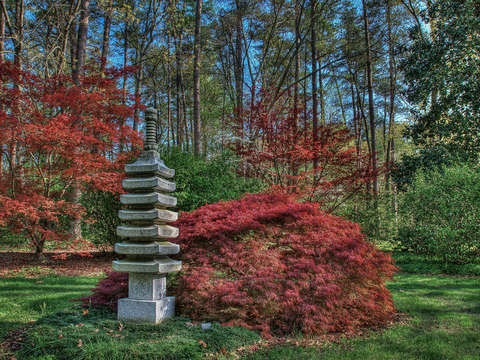 The pagoda