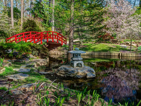 The red bridge