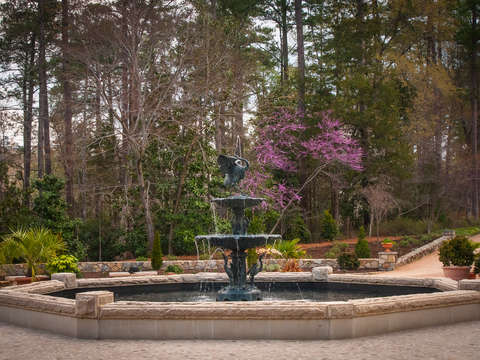 The roney fountain