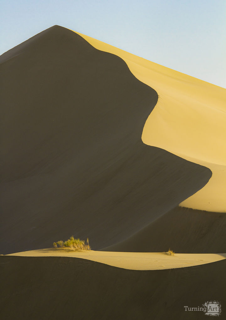Curves 3