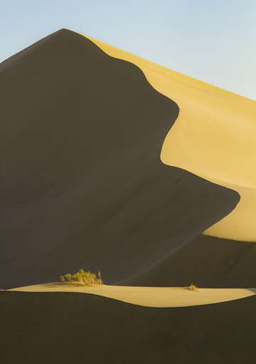 Curves 3