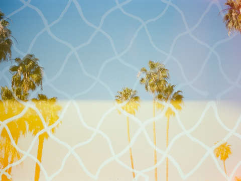 Sundrenched