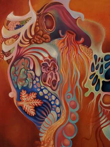 Anatomical associations